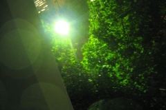 1_fl_storm_05