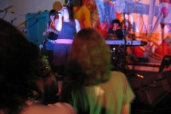 1_fl_unicorns_07