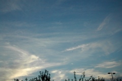 fl_liltrip_06