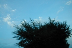 fl_liltrip_07