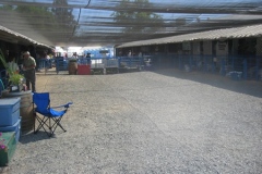 fl_mayfair_03