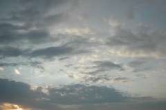 fl_mini_16
