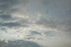 fl_mini_17